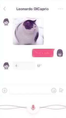 小七手机号在线网页轰炸